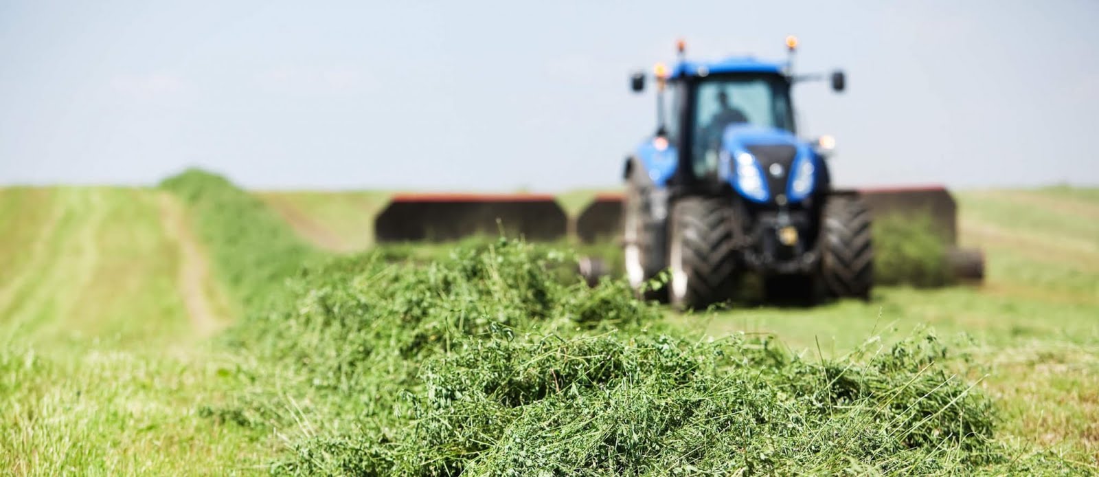 How Cover Crops and Cover Crop Seed Help Farmers