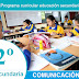 Competencias, capacidades y desempeños de Comunicación_2º CN-2017