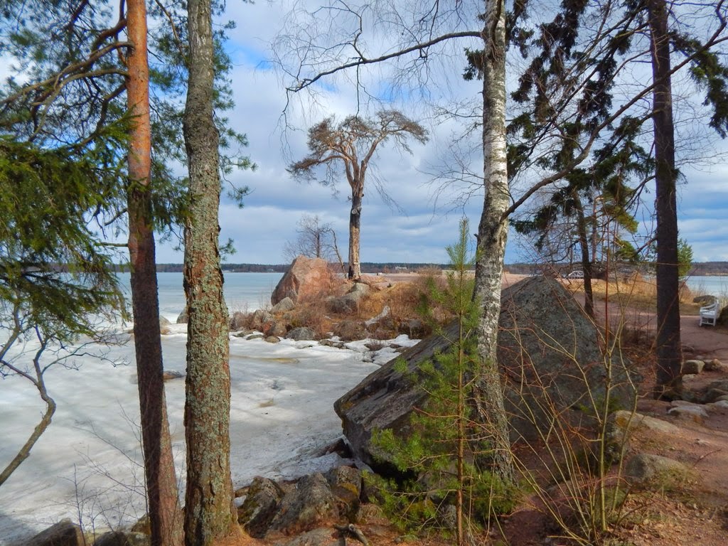 Монрепо парк апрель