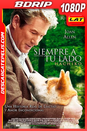 DescargatePelis.com