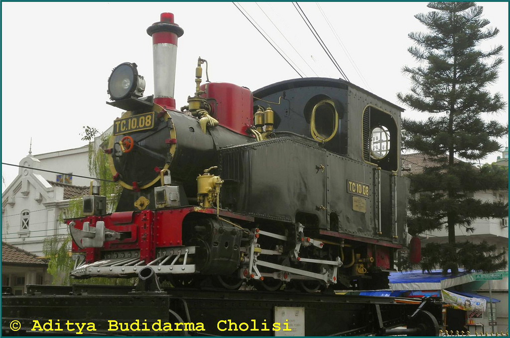 narrow gauge steam locomotive