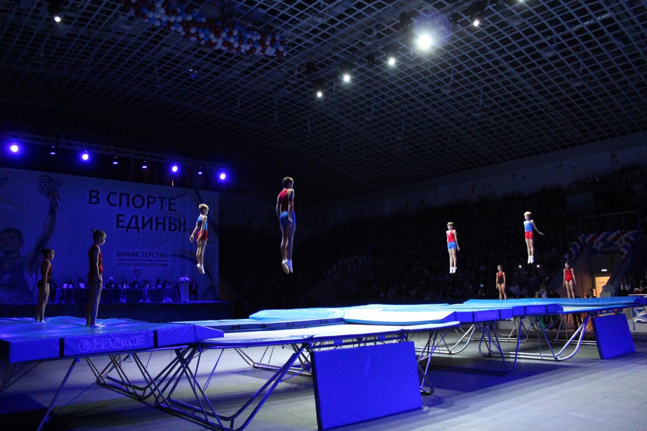 Олимпийский чемпион по прыжкам на батуте