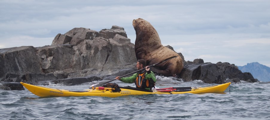 Камчатка остров карагинский Камчатка остров карагинский