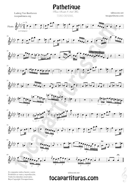 Pathetique Flauta Travesera, flauta dulce y flauta de pico Partitura Sheet Music for Flute and Recorder Music Scores