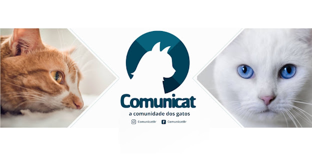 Blog Comunicat - A Comunidade dos Gatos