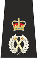 Badge of British Chief Constable