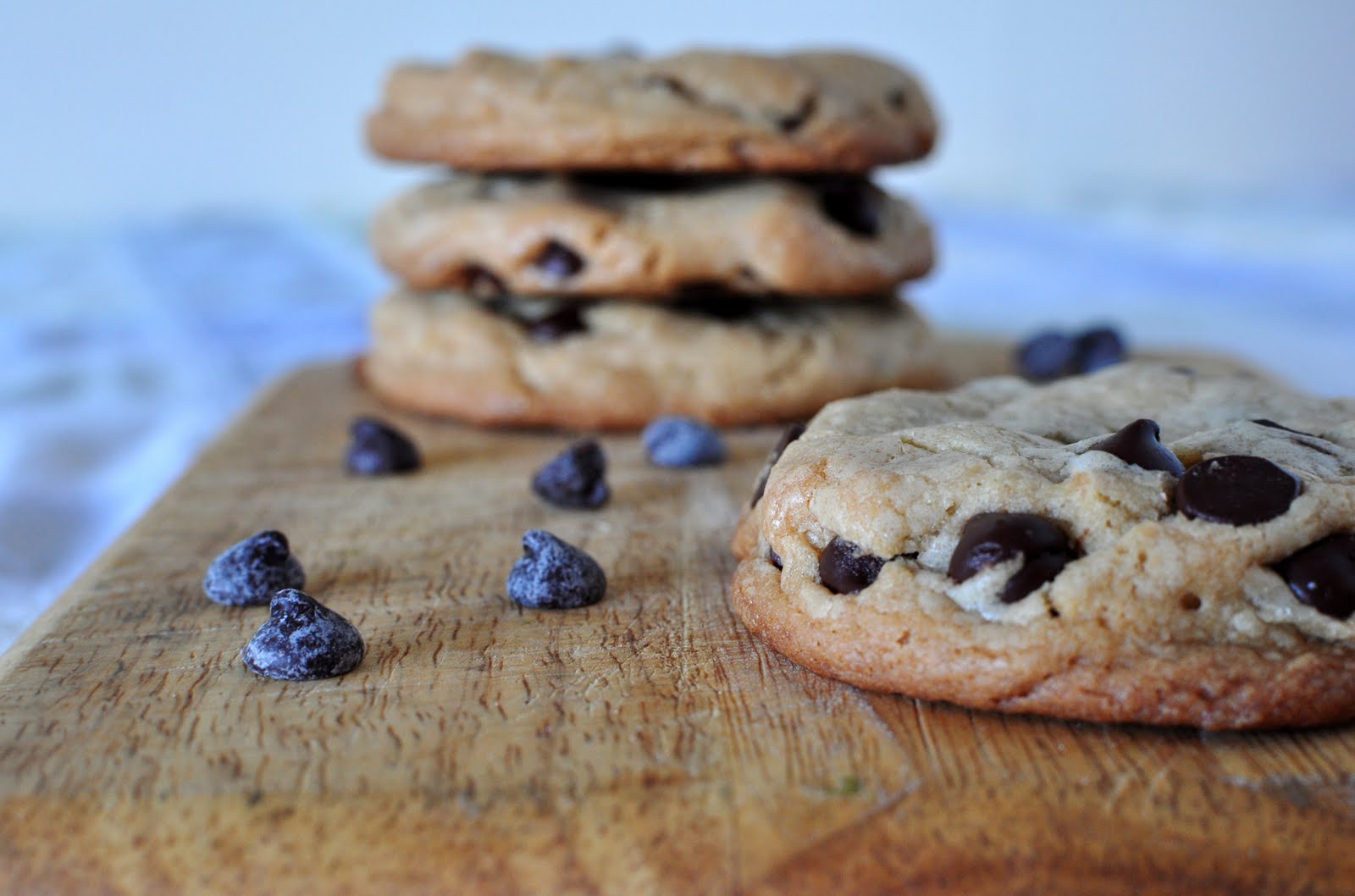 My Tiny Oven America’s Test Kitchen Chocolate Chip Cookies