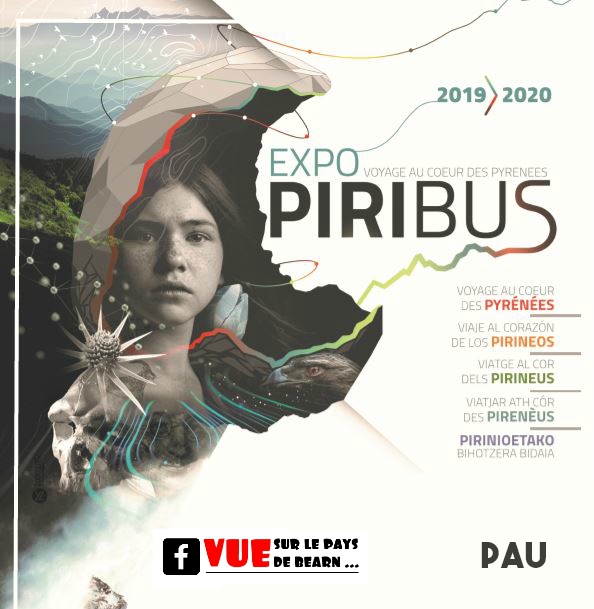 Piribus au coeur des Pyrénées Pau 2020