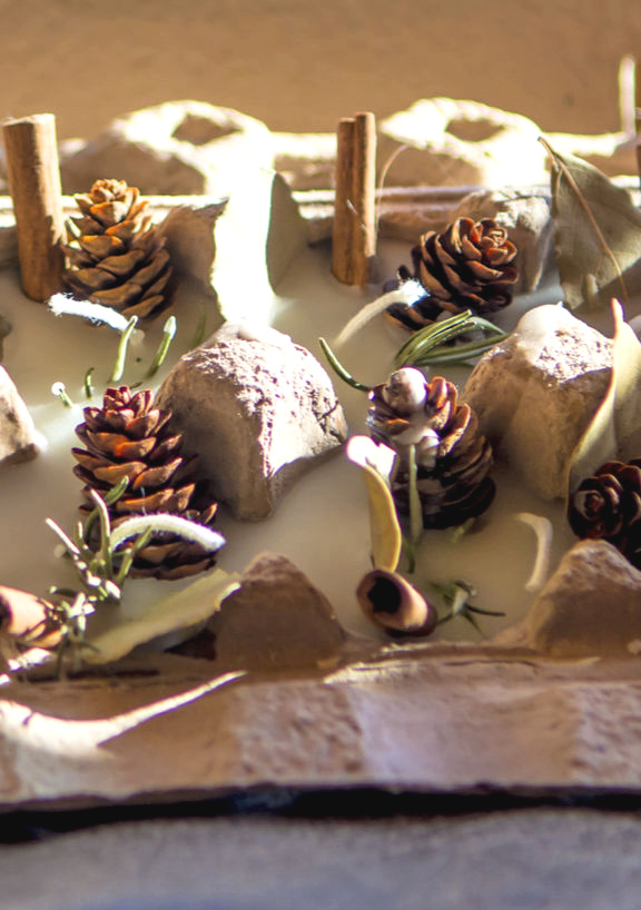 DIY Beeswax Egg Carton Fire Starters Fresh Eggs Daily® with Lisa Steele