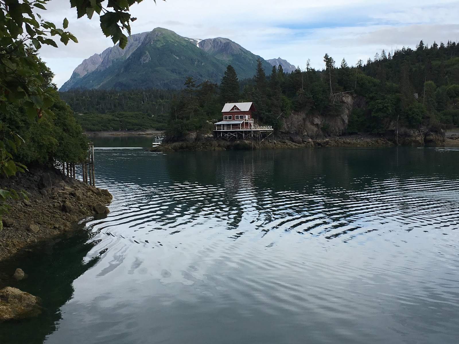 Life in Alaska — A View From Homer The Saltry and Danny JA Halibut