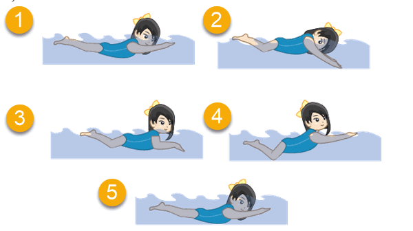 Cara Mengambil Napas Renang Gaya Dada Adalah Cara Golden