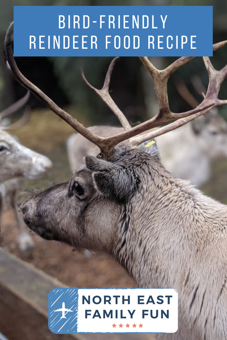 Birdfriendly Reindeer Food Recipe North East Family Fun