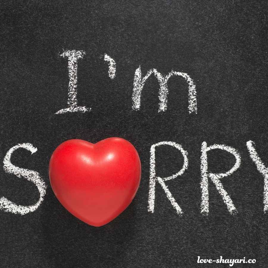 90 I am sorry images for lover | Cute sorry images