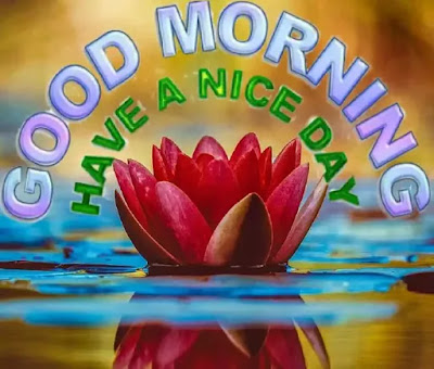 Good Morning Images Good Morning Images