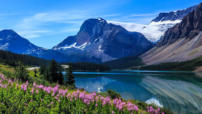 Landscape, nature, mountains, lake, flowers, trees