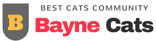 Bayne Cats
