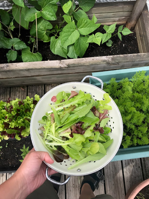 gardening