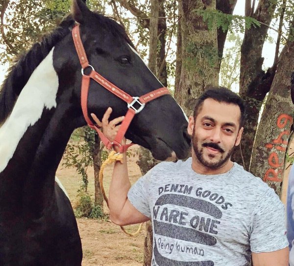 Salman Khan in EEGA (Makkhi) 2. His Upcoming Movies List