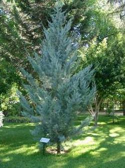 JARDINERIA Y PAISAJE