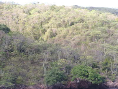 Ekosistem hutan gugur