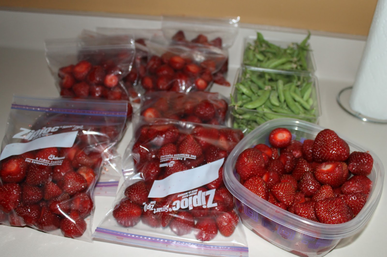 SunShine Sews... Strawberry Picking Time