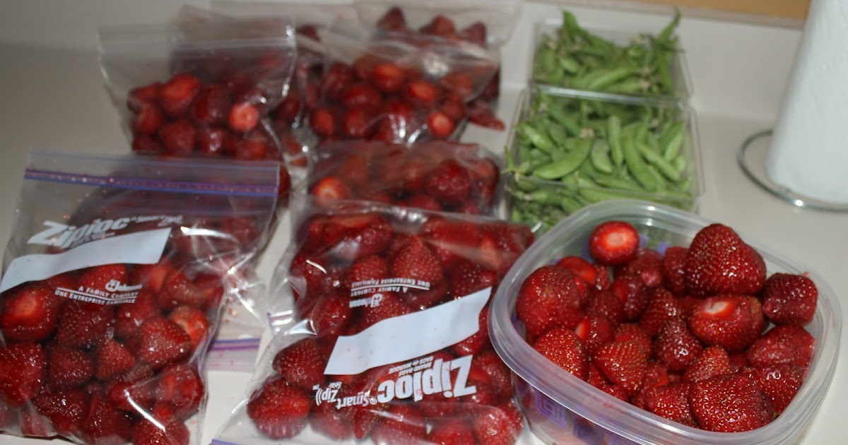 SunShine Sews... Strawberry Picking Time