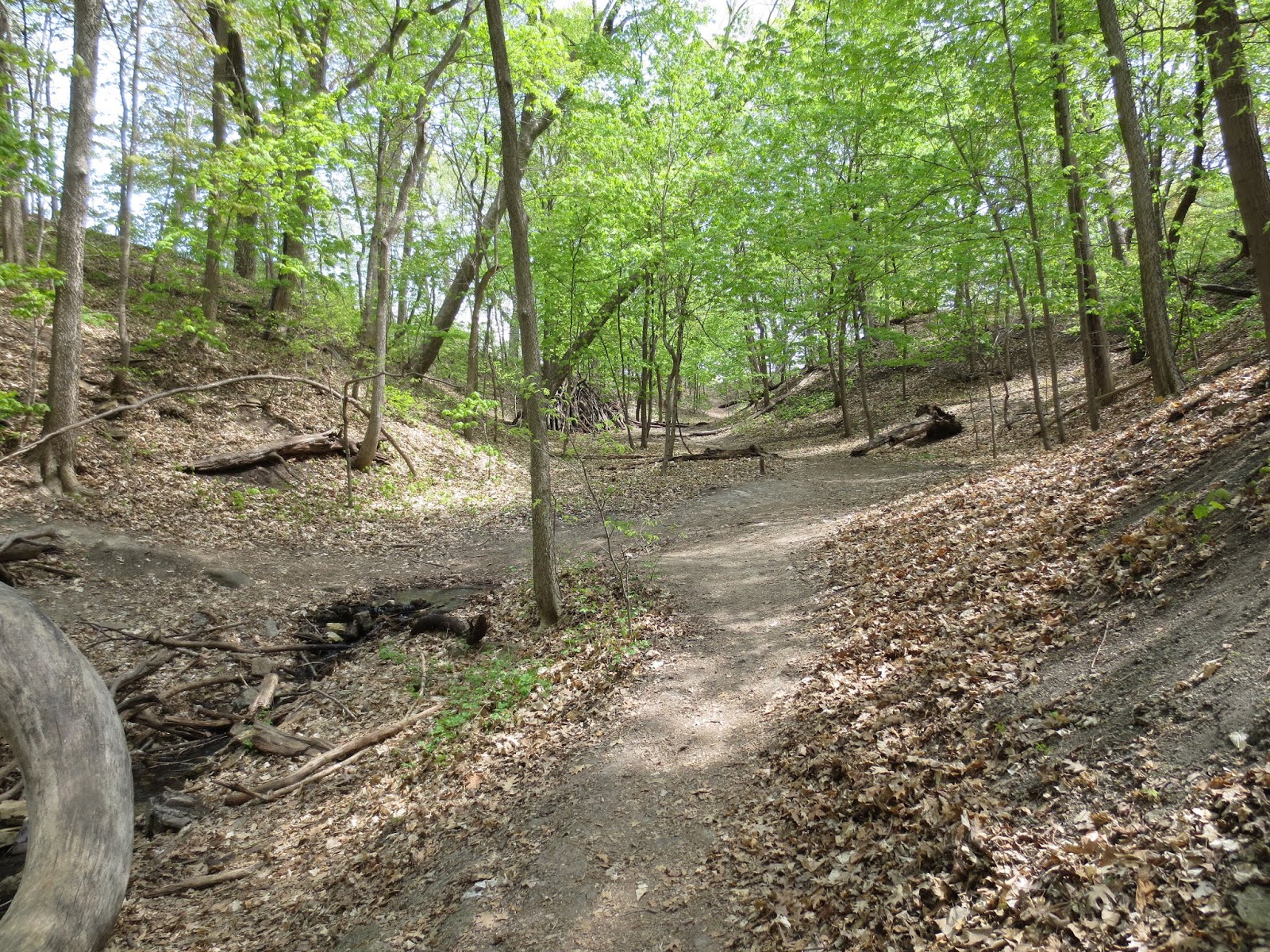 Equatorial Minnesota: Revisiting Shadow Falls Park