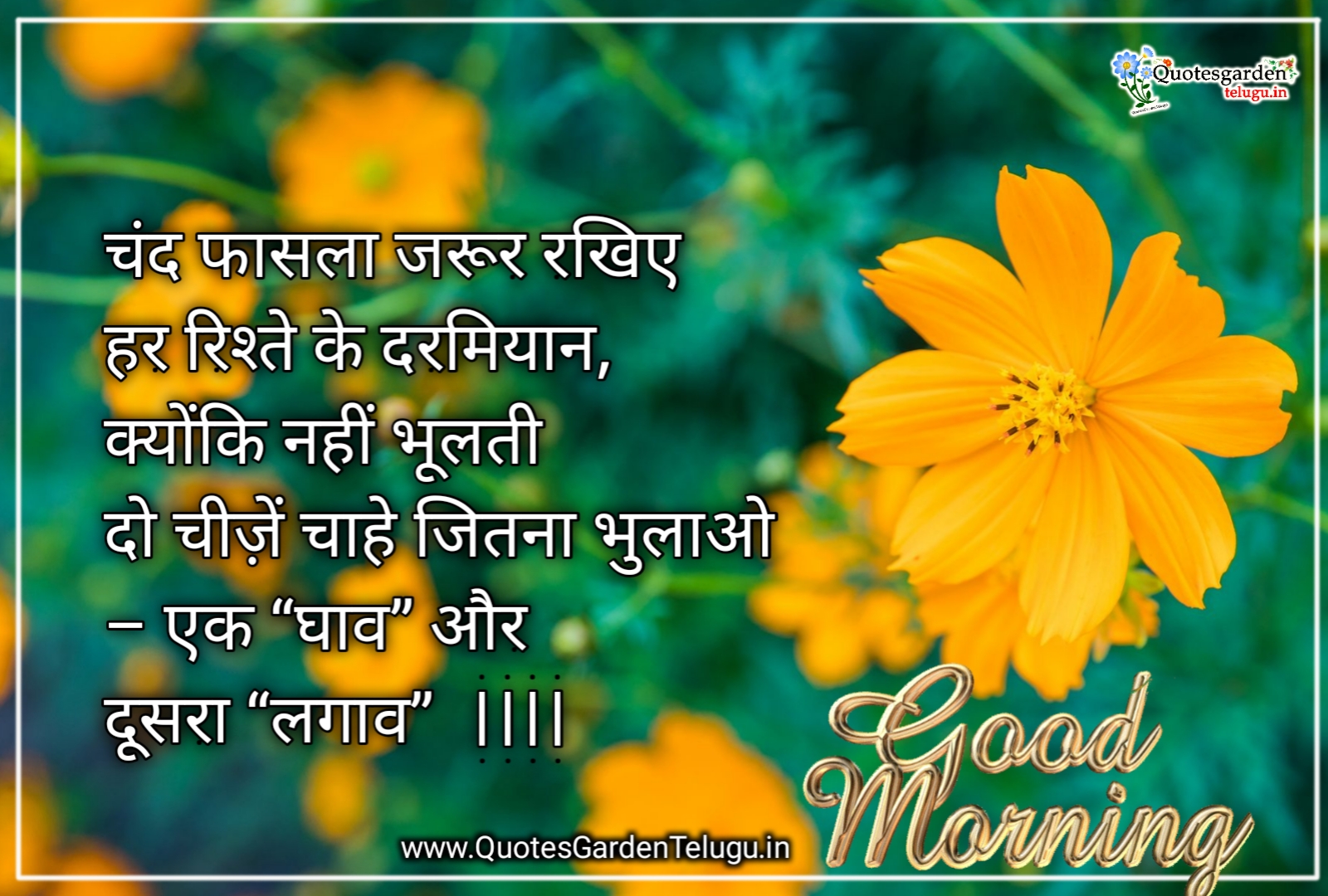 Good Morning Shayari Download Inspirational Quotes In Hindi Messages |  Quotes Garden Telugu | Telugu Quotes | English Quotes | Hindi Quotes |