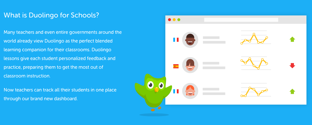 Duolingo - Choice HW Option - Mis Clases Locas