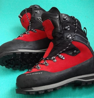 Meridian GTX Mammut Boots