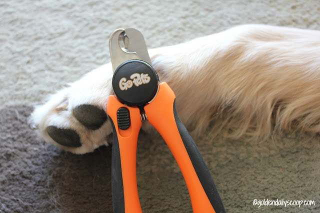 dog grooming tools, GoPets large dog clippers, review and giveaway