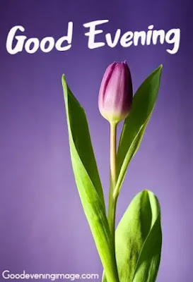 Beautiful Good Evening Photos Beautiful Good Evening Photos