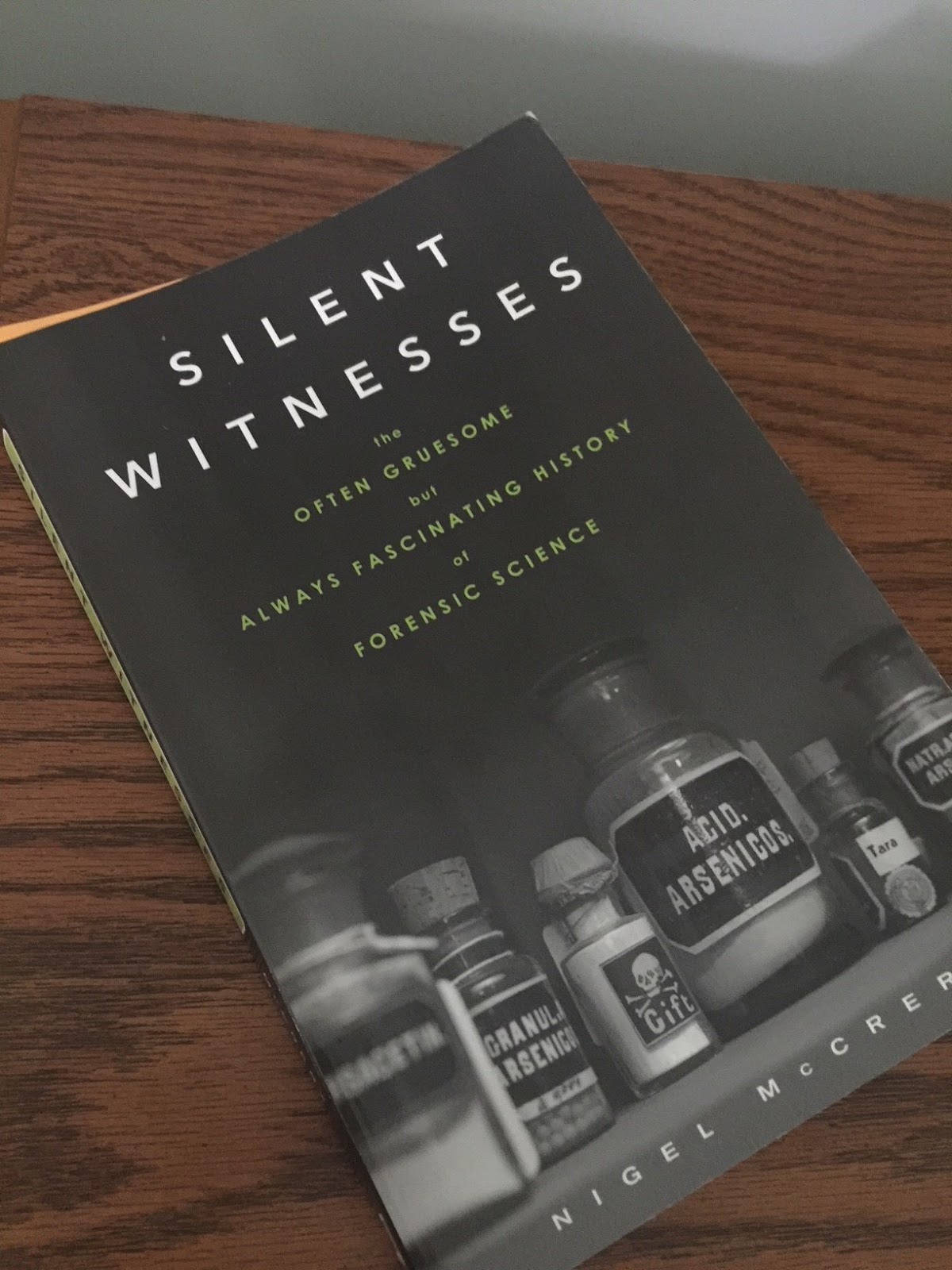 Lester Street Murders: The Silent Witness Speaks - sqg23jr