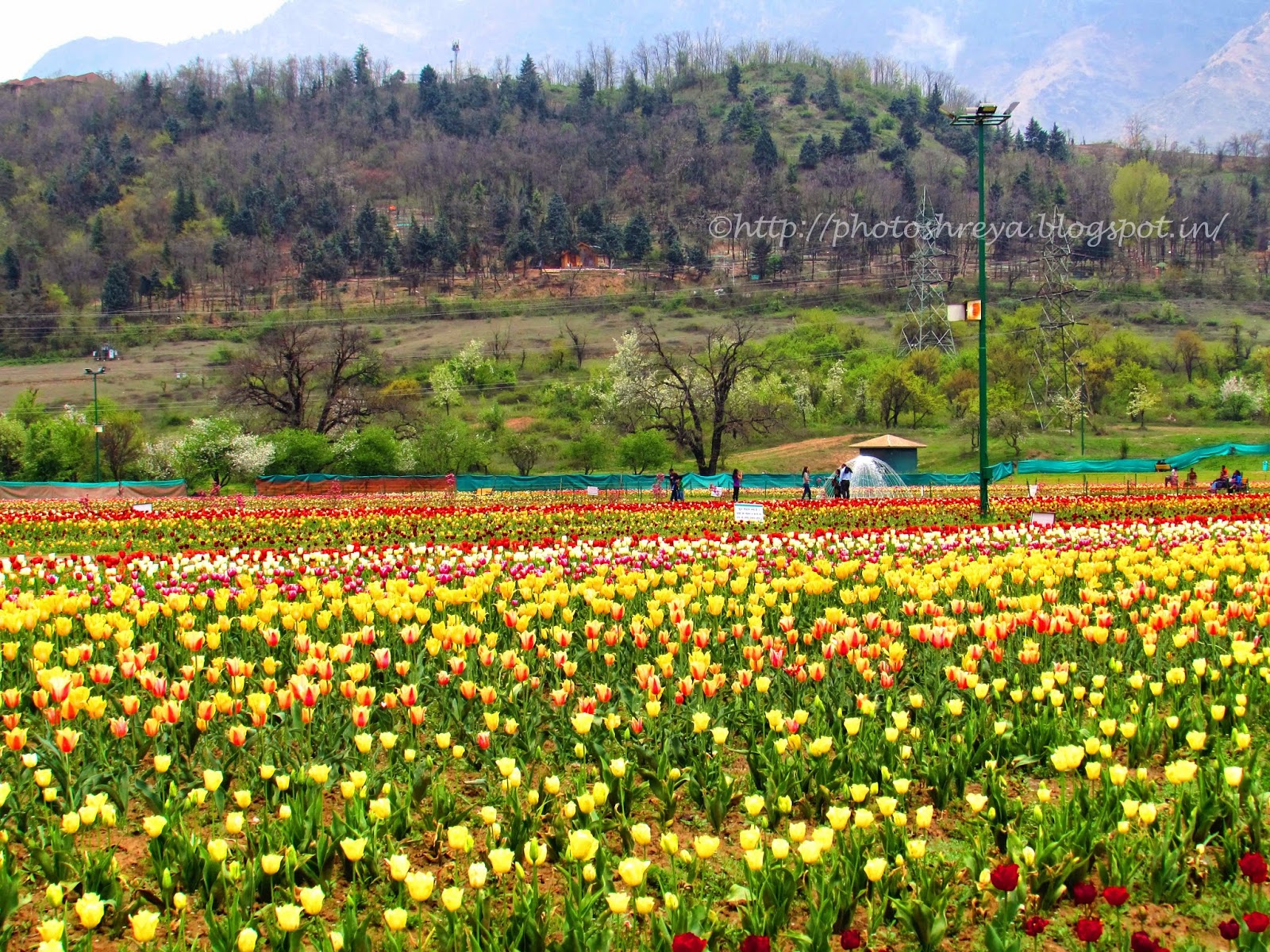 Let's Walk Together And Explore The World. Shall We? INDIRA GANDHI