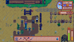 stardew valley coop chicken build