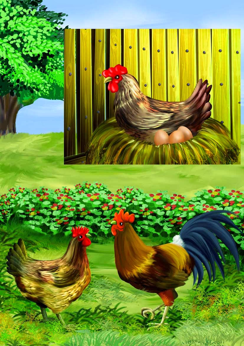 Cerita Fabel Ayam Dan Burung Elang Xiaominismes