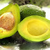 Avocado Is Perfect Food For Weight Loss