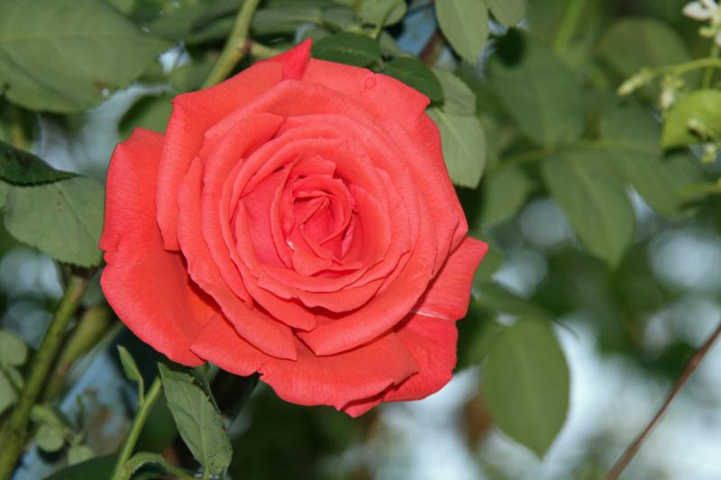 Mit offenen Augen durch den Alltag Les Mées, Frankreich