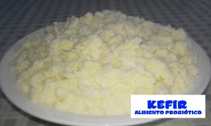 Kefir de leite em formato de pele