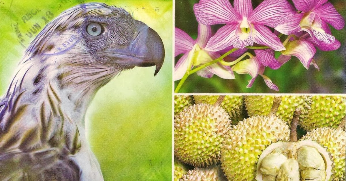 More POSTCARDS & STAMPS PHILIPPINES Davao City