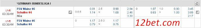 Dự đoán bóng đá Bundesliga 12/1: Mainz vs Schalke  Mainz