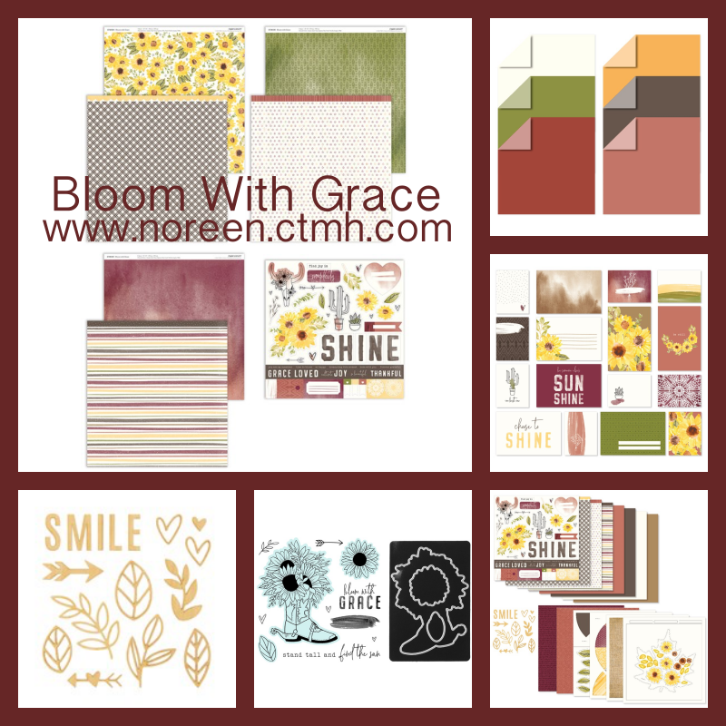 Noreen's Scrap N Chat CTMH NEW September/October PLUS Core Catalogs