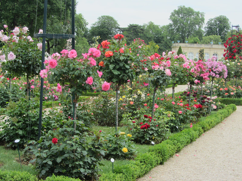 Itchy Feet - Welcome!: Parc De Bagatelle, Paris' most beautiful rose garden