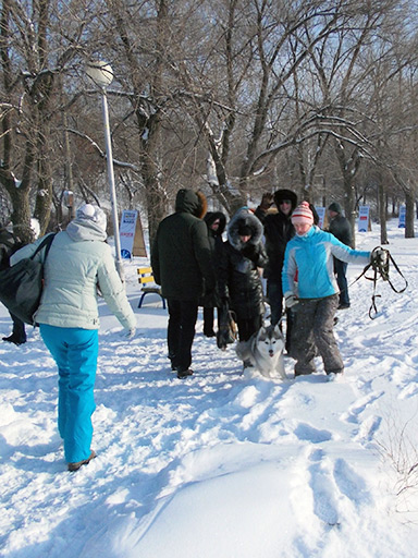 Фестиваль ездового спорта в Тольятти «Волга Квест»