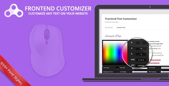 Frontend Text Customizer