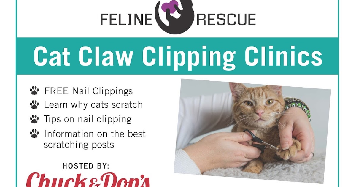 Feline Rescue Cat Tales Free Cat Claw Clipping Clinics!