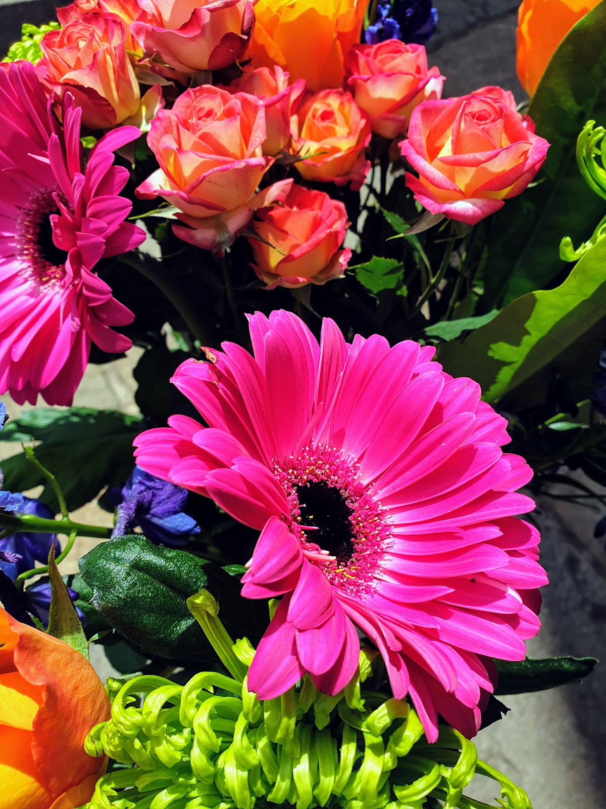 The Most Beautiful Bunch Of Flowers | Claire Justine