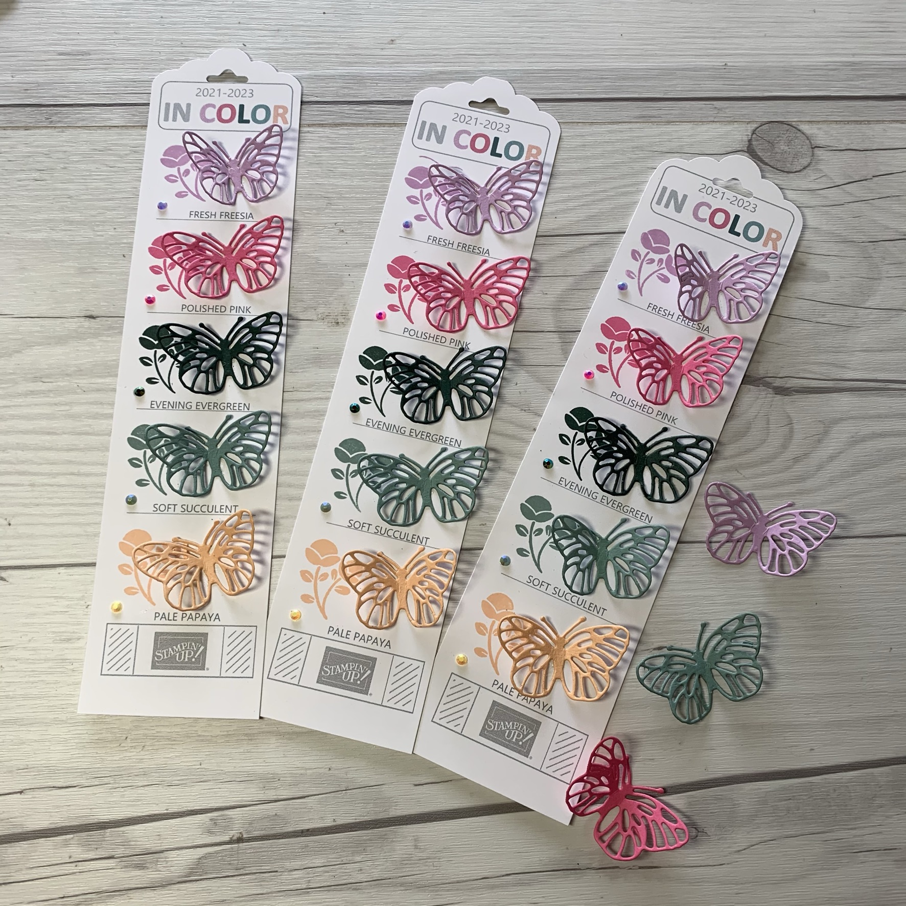 Stampin Up 202424 Catalog Marjy Shannen