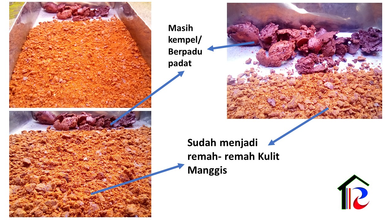 TEKNIK PENGOLAHAN KULIT BUAH MANGGIS [ cara mudah ...