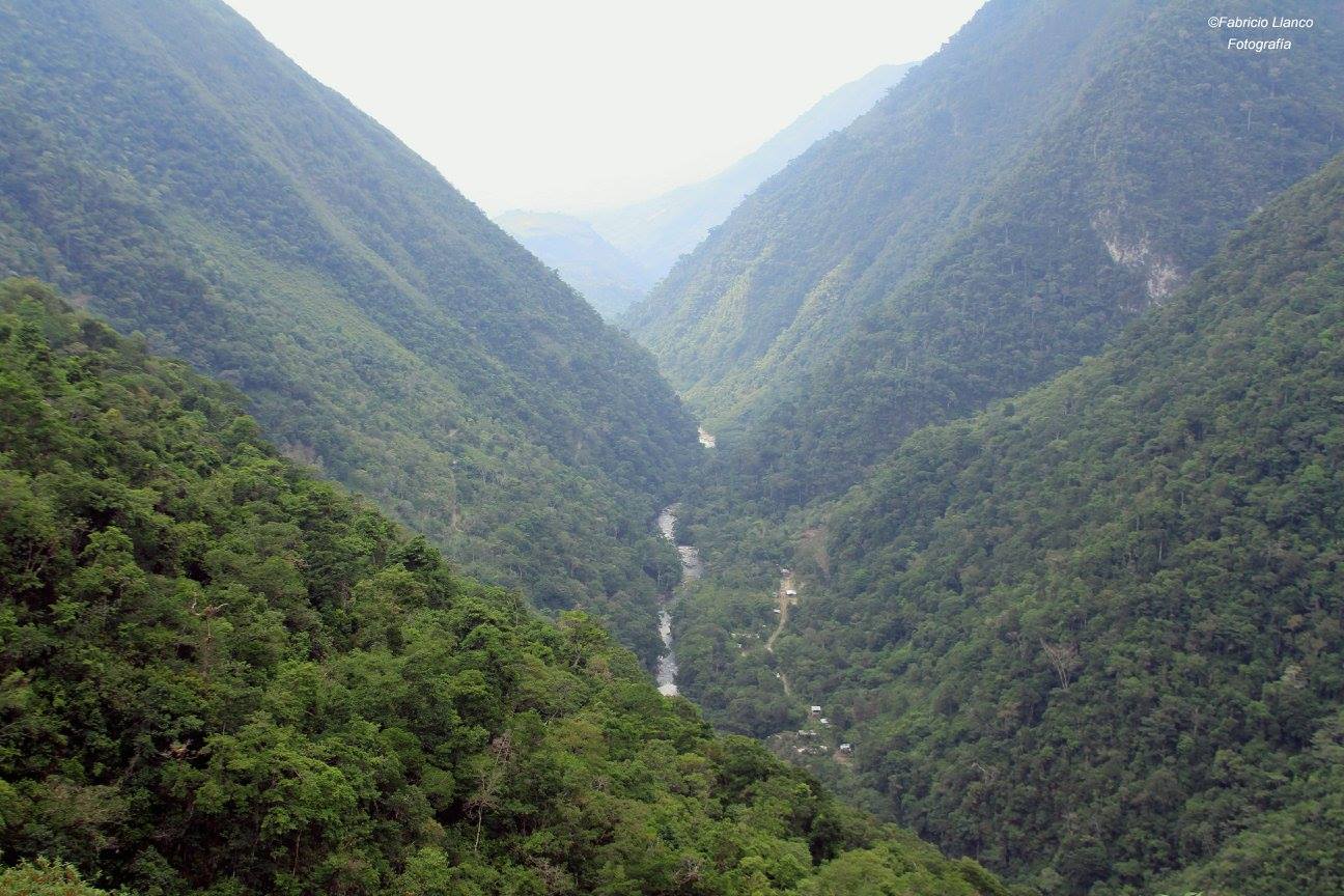 Santuario Nacional Pampa Hermosa